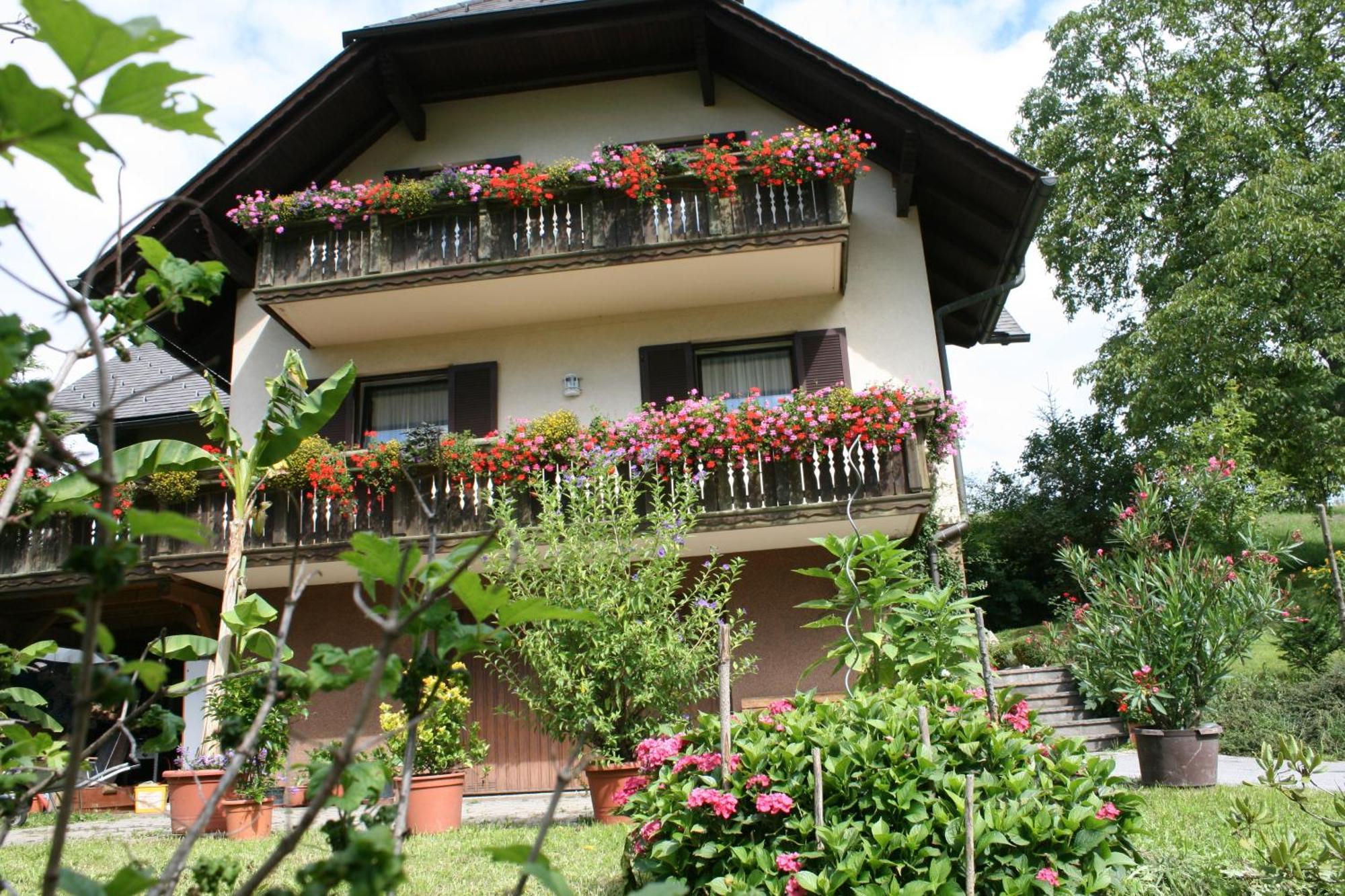 Gasthaus - Gaestehaus Schusterbauer Райн Экстерьер фото